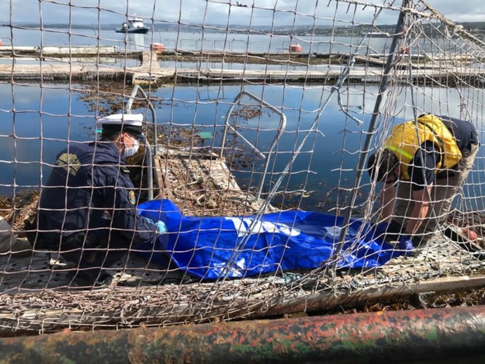 Un sabor que mata: Otro buzo salmonero muere en la Patagonia chilena
