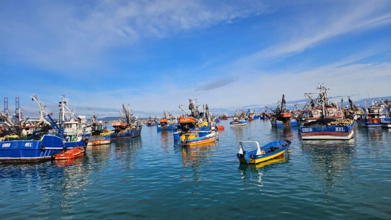 Pescadores artesanales de Coronel valoran avance de la Ley de Remanente pesquero en el Congreso 