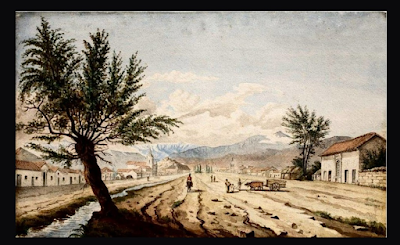 Los tontos y la increíble y triste historia de La Alameda de Santiago
