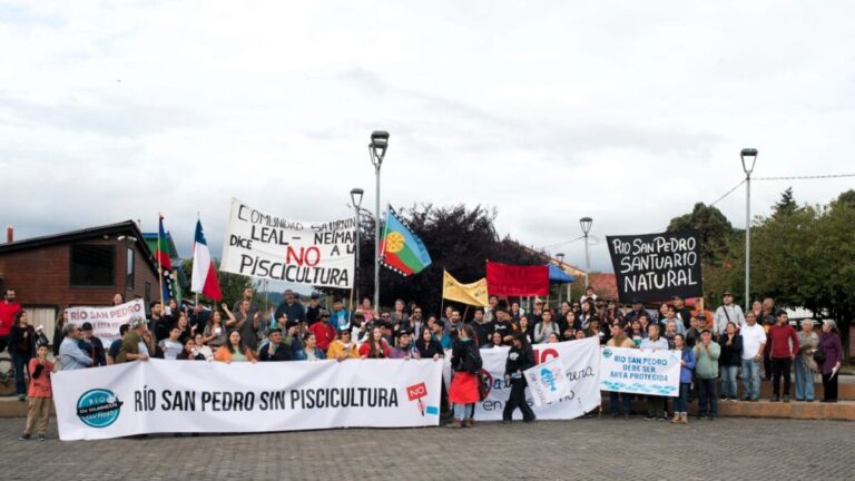 La lucha contra las pisciculturas salmoneras “no es solo ambiental, sino también cultural y espiritual”