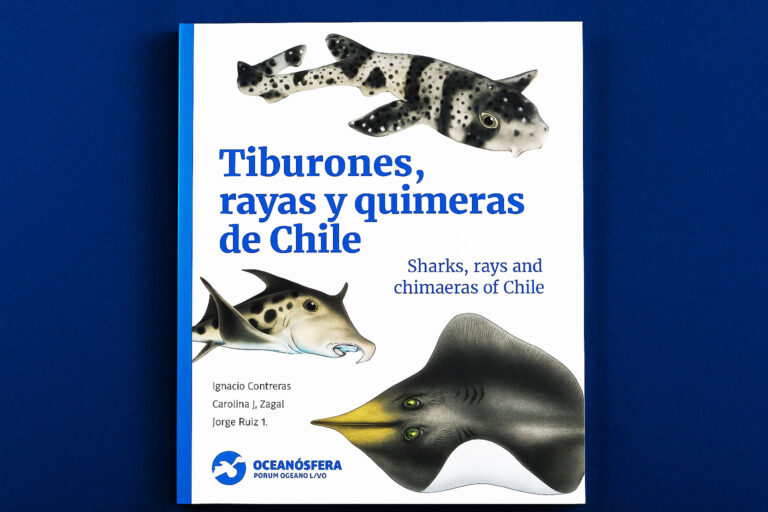 “Tiburones, Rayas y Quimeras de Chile” es un libro clave para conocer la biodiversidad marina del Pacífico suroriental